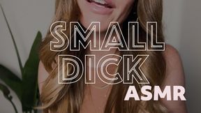 Small Dick ASMR (WITH BINAURAL AUDIO)