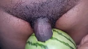 I planted my seeds in the melon.