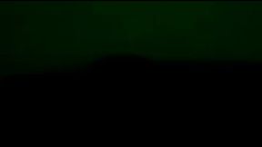 Dogged out Latifa brains