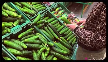 Kinky Plant Dildo Play with Emily Willis - POV Pleasure