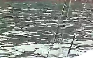 Hot fuck on yacht
