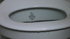 Toilet Slave
