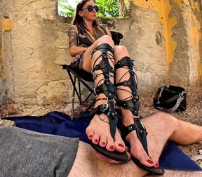 Gladiatrix of Submission