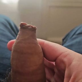 Hairy Cock Long Foreskin Play