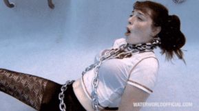 harlequin
