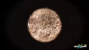 Italian baroness teaches virgin the ways of sex