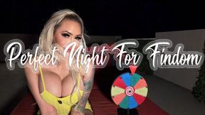 Perfect Night For Findom