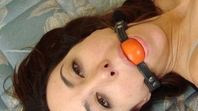 Legacy Lane Elizabeth 2