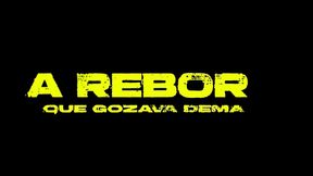 reborn anal do spartanas