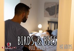 Birds and Bees - Full - David Finds Stepson Joseph Watching Gay Porn. Time for the Talk and the Dick!