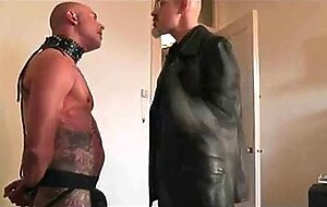 Slapped Bear Face