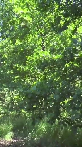 Alina Lamour einmal uebers Grundstueck gevoegelt   Clip 3