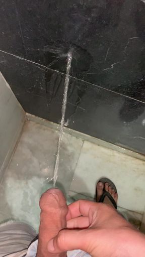 Peeing in bathroom - Kinky Fantasies