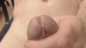 Acorn close-up