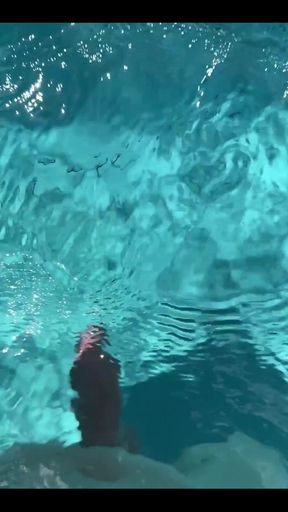 Dangerous Creature in the Water