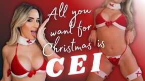 All You Want For Christmas Is CEI