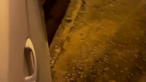 Estava voltando do barzinho e como tinha bebido um pouco a mais chamei um Uber. O safado ao saber que eu era atriz porn&ocirc_ ...