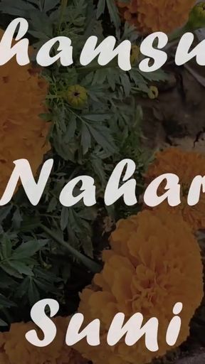 Boner Help Niye Apon Bidhoba Ma Ke Chudlo Nijer Chele   Clip 1