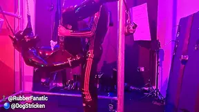 Anal Odyssey - Chastity Rubber Dog Stuffed With Dick And The Sling