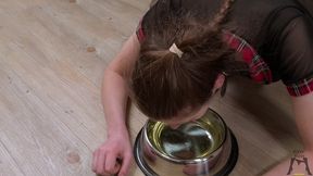 ritzy rain walked on leash drooling with a ball gag in her mouth before she fucked deep in her throat and moped in bowl of masters piss