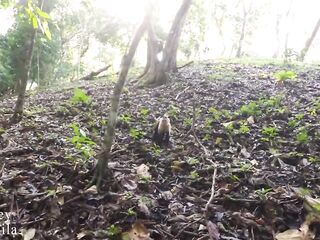 Vacation Jungle Sex - Concupiscent Pair Screw On Hiking Trail And Nearly Get Caught