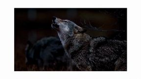 Support Training Task 3