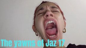 The yawns of Jaz 17