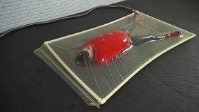 Sonya, wearing a red inflatable latex bondage top with a spreader bar and a vibrator, experiences an orgasm in a large vacuum bed