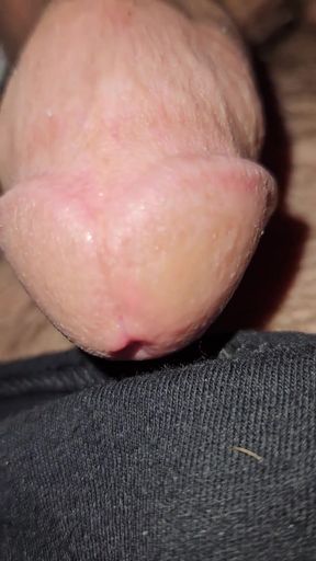 Cock Inspection