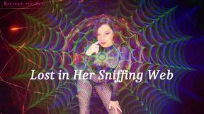 Lost in Her Sniffing Web