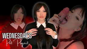 Wednesday's Pet Project