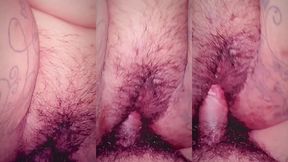 hairy pussy