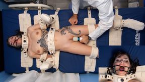 Obedience Training for Josie Jo