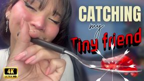 4K Catching My Tiny Friend