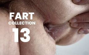 Fart Collection 13