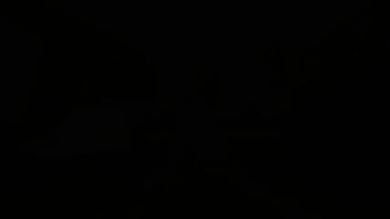 HS - Anal Love