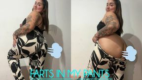 Smelly farts in my pants
