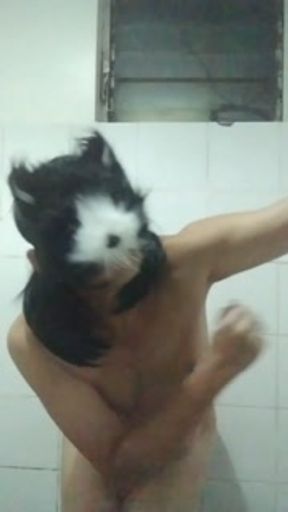 Therian Femboy Asian Cheesecake