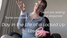 Day In the Life of a Locked up Loser - Chastity - Pay Lavender