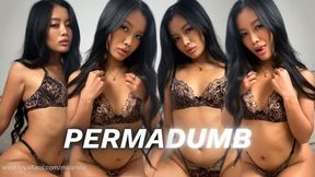 PERMADUMB