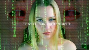 FREE YOUR MIND - UNPLUGGED