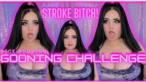 Stroke Bitch! Dick Numbing Gooning Challenge! (1080 MP4)