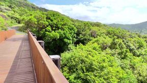 From Scenic Drive to Steamy Stop