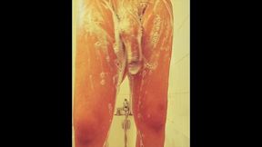 transgender girls prostitution lifestyle money and fun