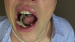 eat octopuses