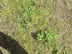 Hot blondie driver needs to screw mechanic for car romp - torrid xxx porn!