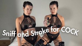 Sniff n Stroke for COCK