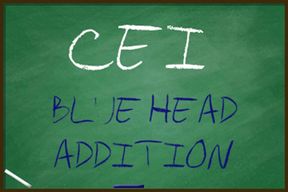 CEI Blue Head Addition Cum Eating for Gays