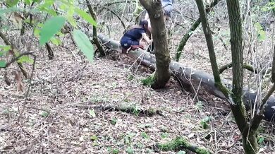 Lesbian brunette cleans the ass in the woods pussy licking gets her own tongue