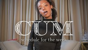 Cum Schedule for the Week